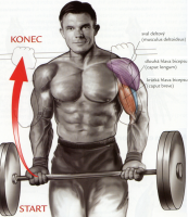 /album/douevenliftbro/fitness-obr-50-png/