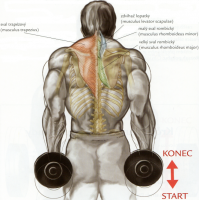 /album/douevenliftbro/krenieramiensjednorukamivstoji-png/