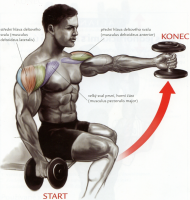 /album/douevenliftbro/predpazovanieramienvsedesjednoruckami-png/