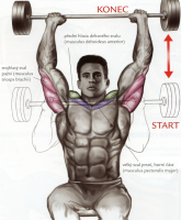 /album/douevenliftbro/tlakypredazahlavuramena-png/