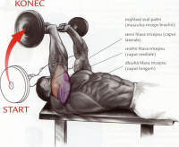 /album/douevenliftbro/tricepsovyzdvihvleze-png/