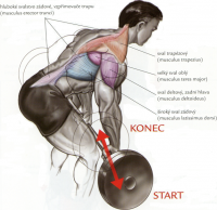 /album/douevenliftbro/veslovaniescinkouvpredklone-png/